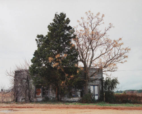 Palmist Building (Winter), Havana Junction, Alabama