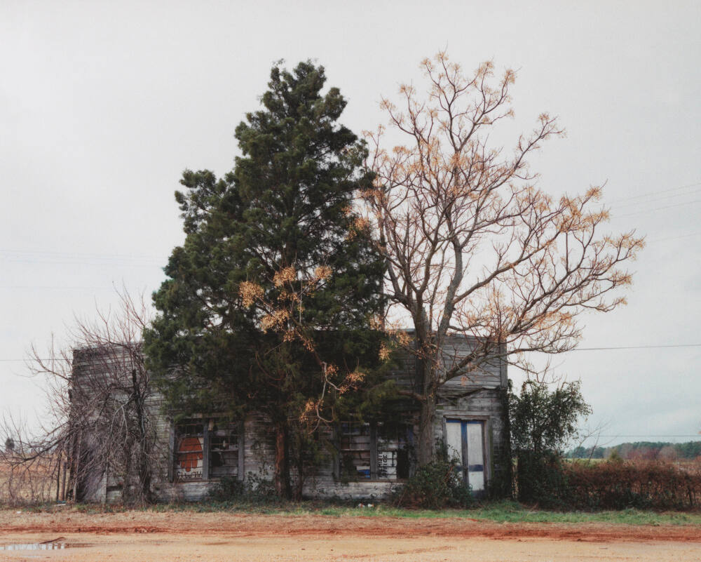 Palmist Building (Winter), Havana Junction, Alabama