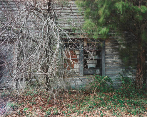 Windows of Palmist Building, Havana Junction, Alabama