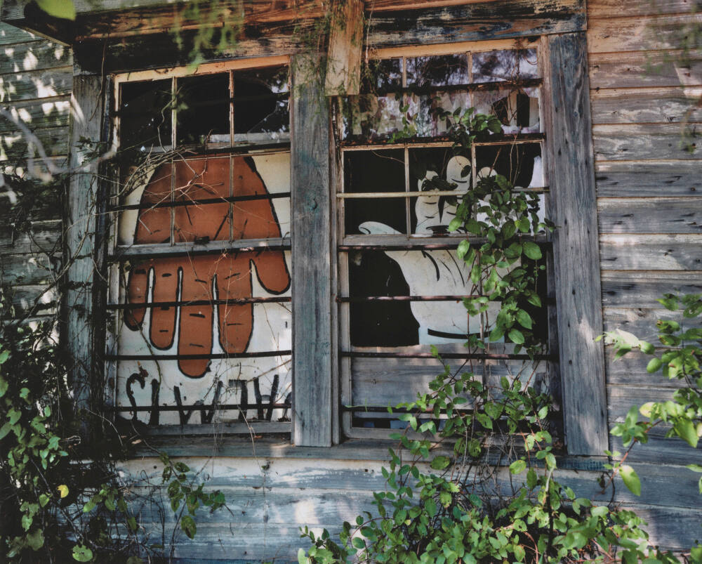 Palmist Window (Close View), Havana Junction, Alabama
