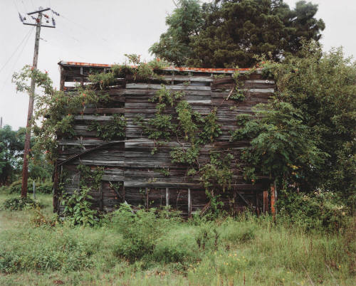 South End of Palmist Building, Havana Junction, Alabama