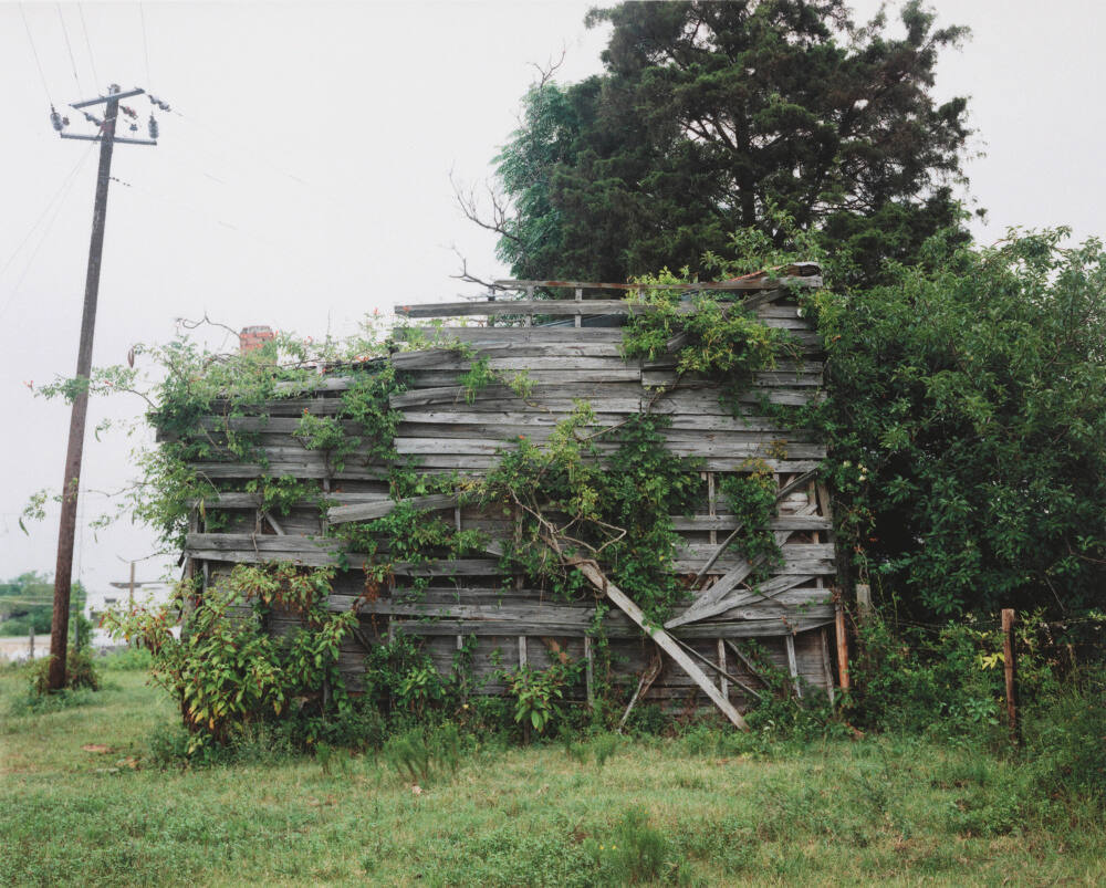 South End of Palmist Building, Havana Junction, Alabama