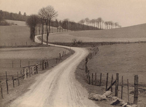 Untitled (country road)