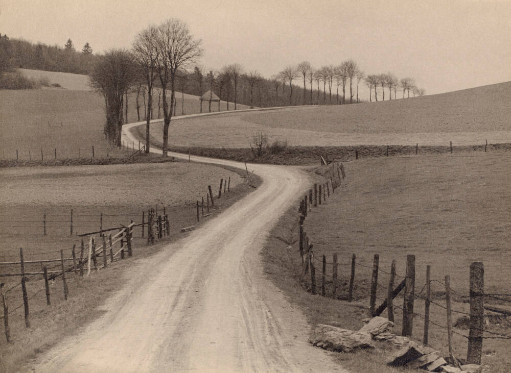 Untitled (country road)