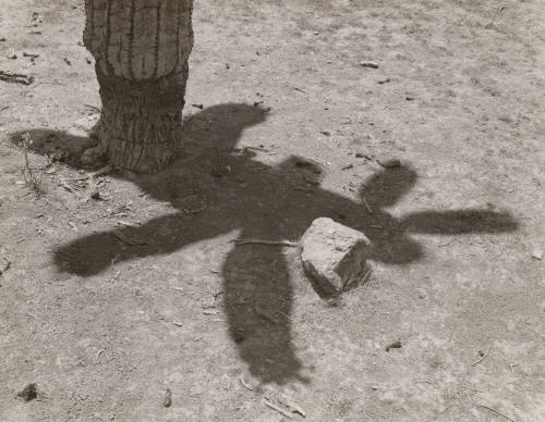 Near Phoenix, Arizona