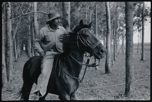 Camaqua, Rio Grande Do Sul, Brazil, Gaucho Vaqueiro