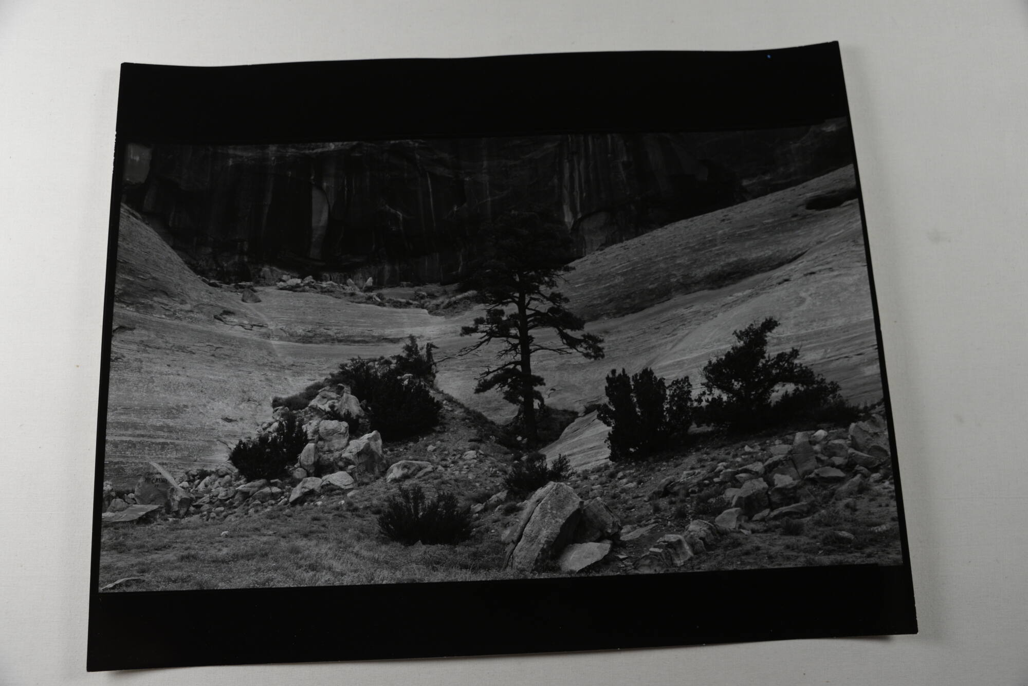 Arizona Landscape #20