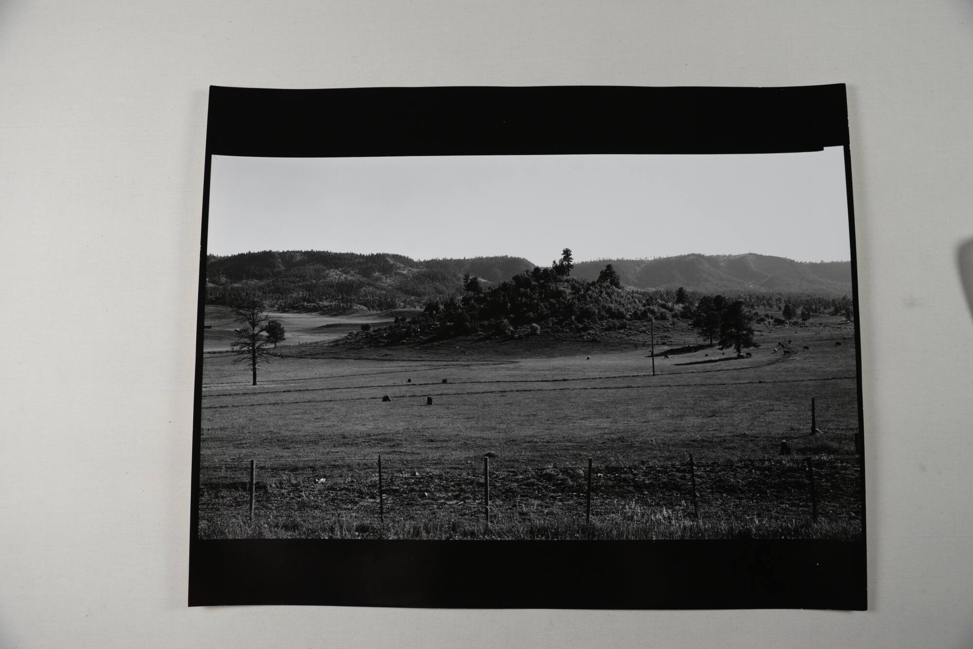 Colorado Landscape #2