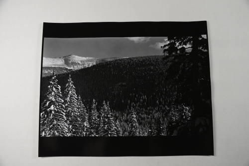 Colorado Landscape #11