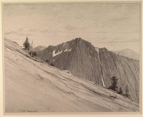 Mt. Woodworth