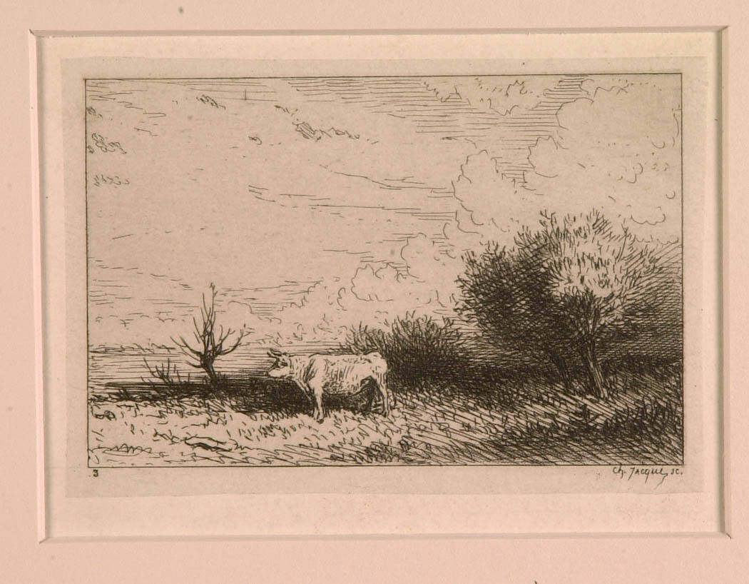Landscape with a Cow