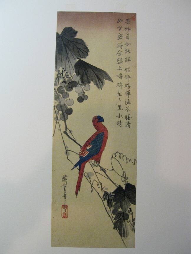 A Parrot Perched on a Grape Vine