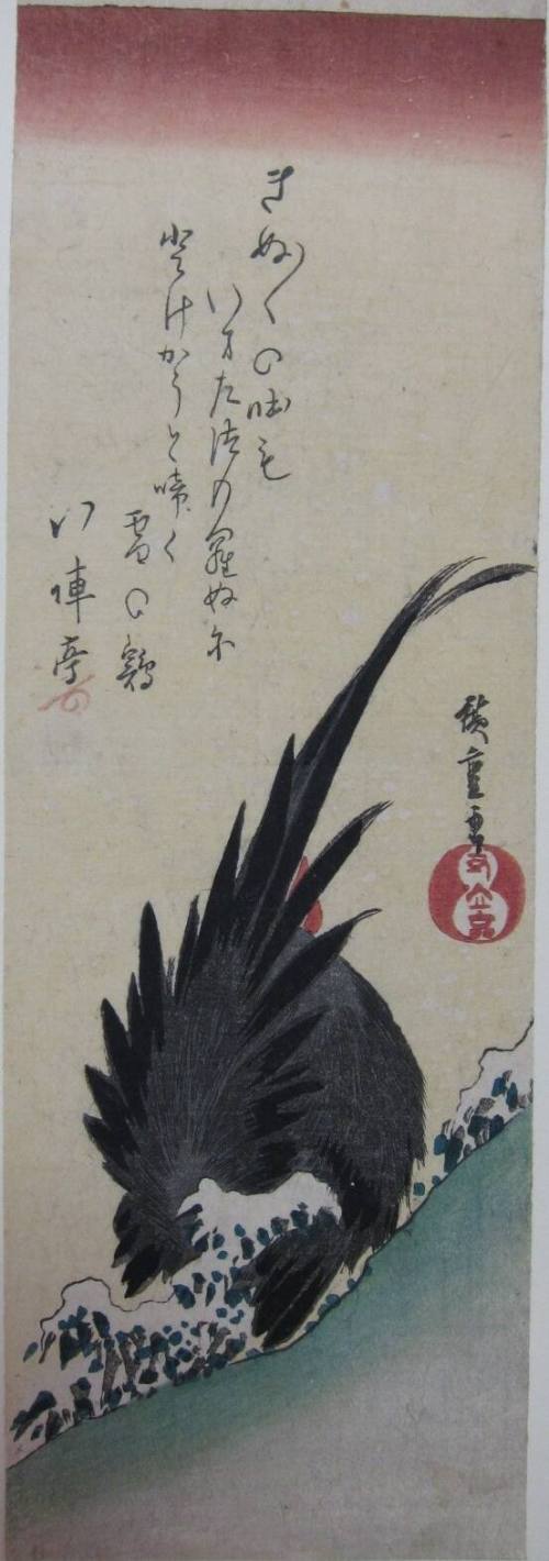 Rooster in Snow