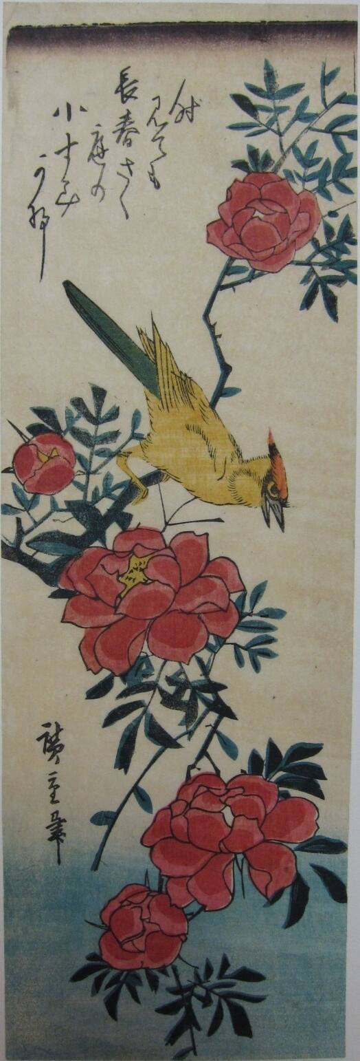 A Yellow Bird Perched on a Rose Bush