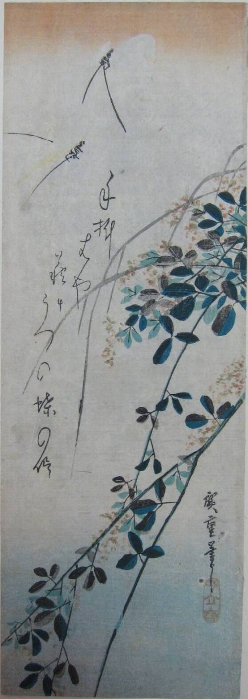 Branches of Hagi (Bush Clover)