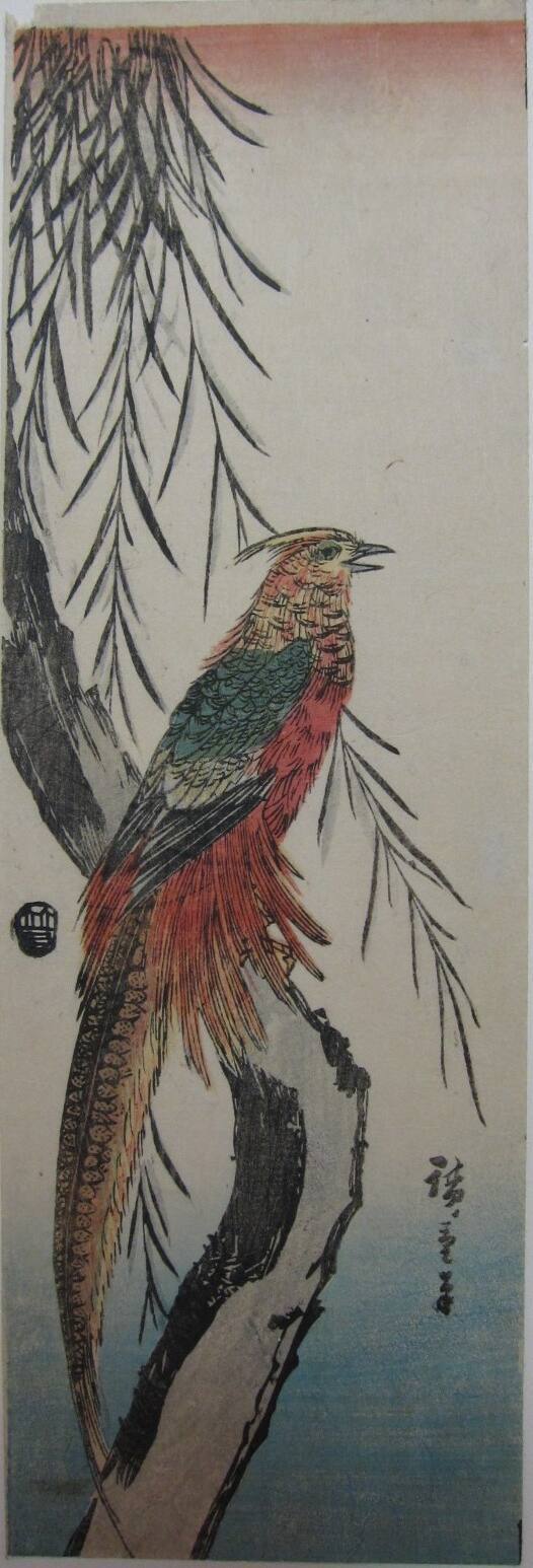 A Pheasant Perched on a Weeping Willow Tree