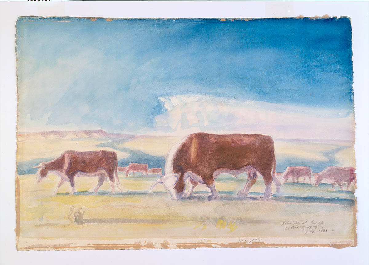 Cattle Grazing