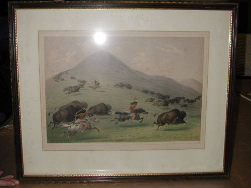 Hunting Buffalo