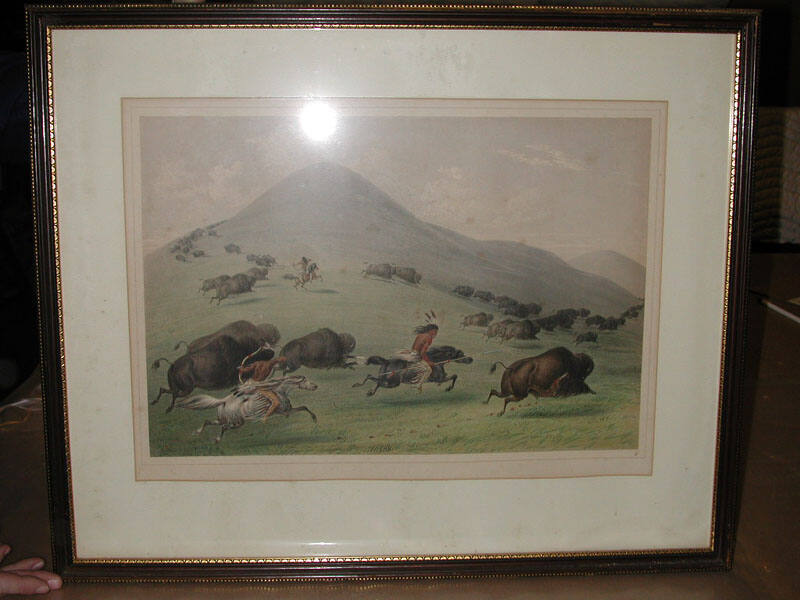 Hunting Buffalo