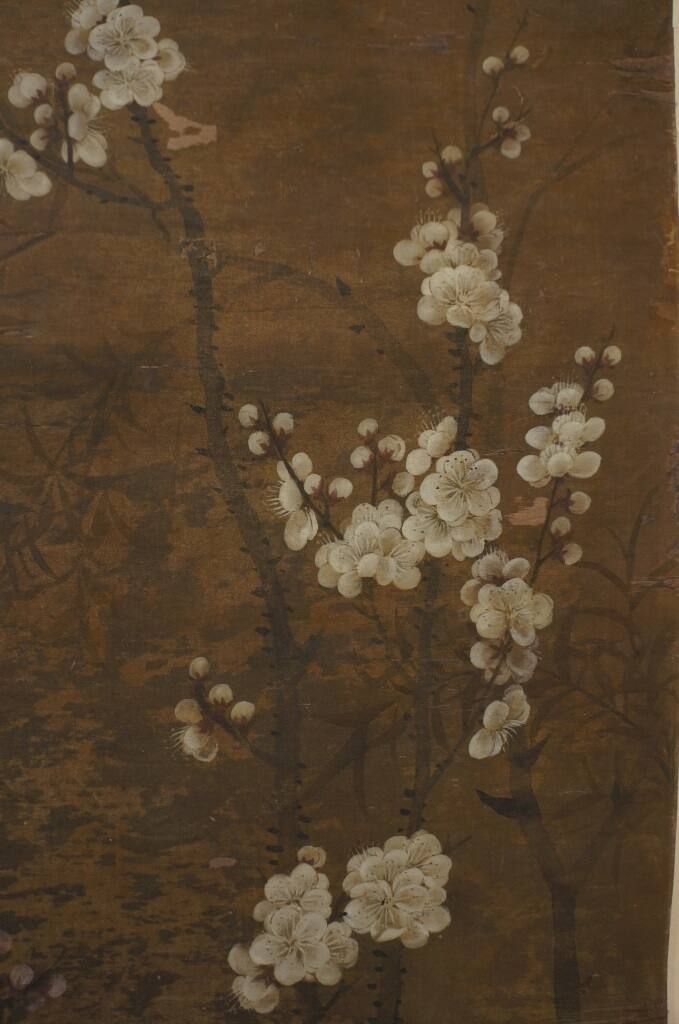 Prunus Flower