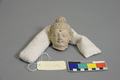 Head of Buddha