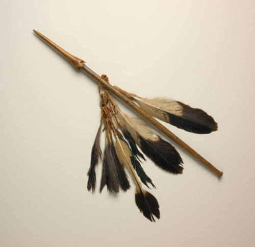 Staff