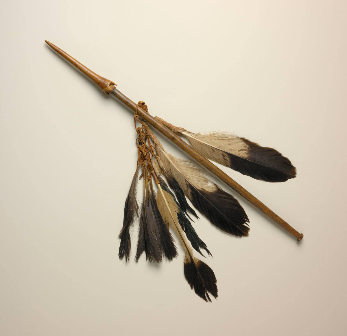 Staff