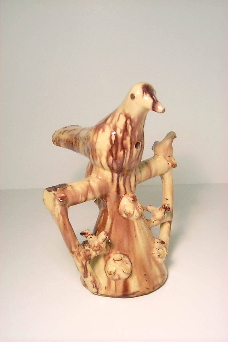 Cuckoo Bird