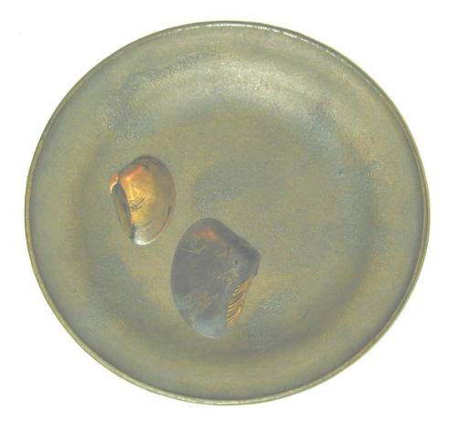 Plate