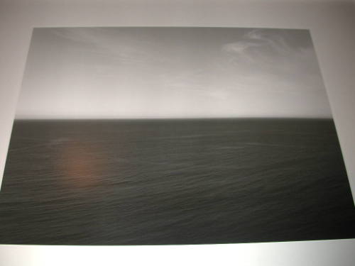 Tasman Sea, Ngarupupu