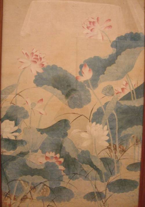 Lotus Flowers