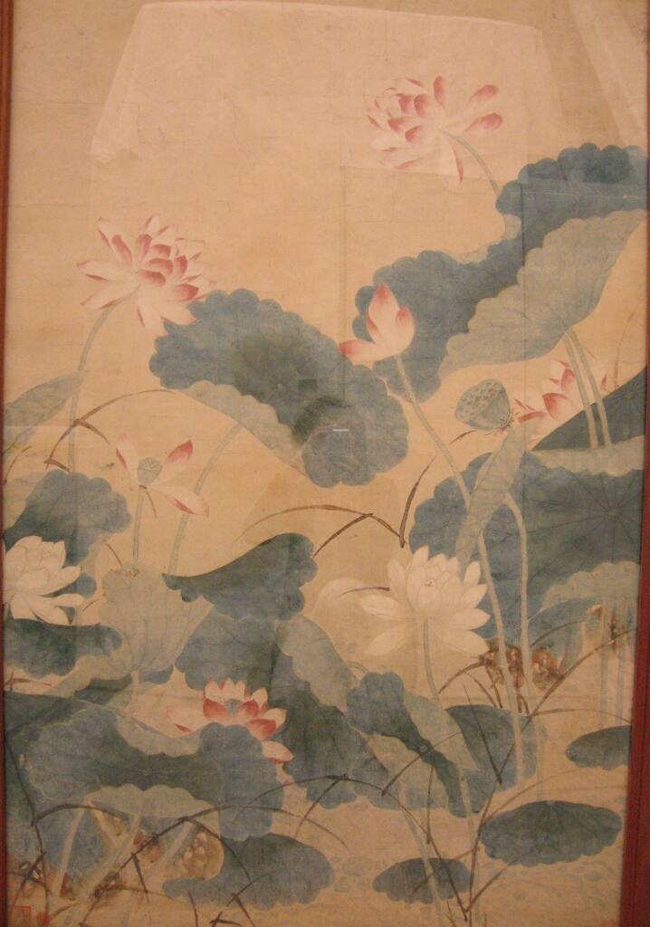 Lotus Flowers