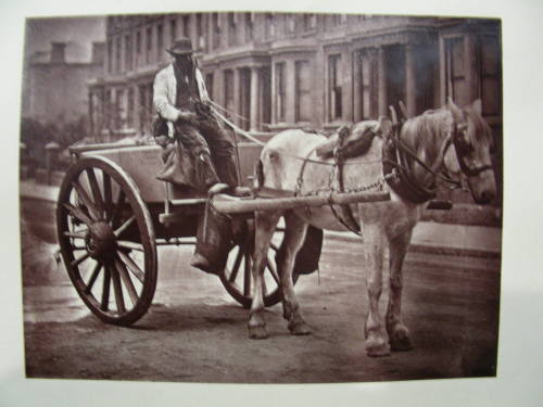 The Water-Cart