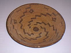 Shallow Tray