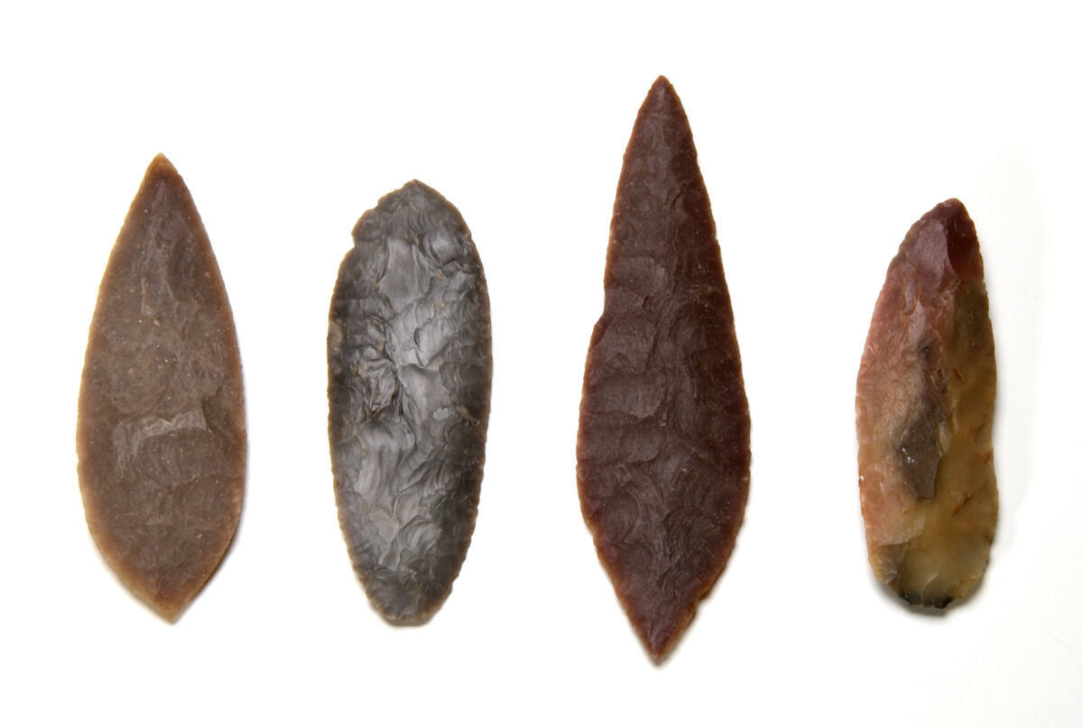 Leaf blade with notched base, Boone Co., Indiana
