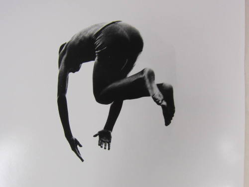 Pleasures and Terrors of Levitation 60