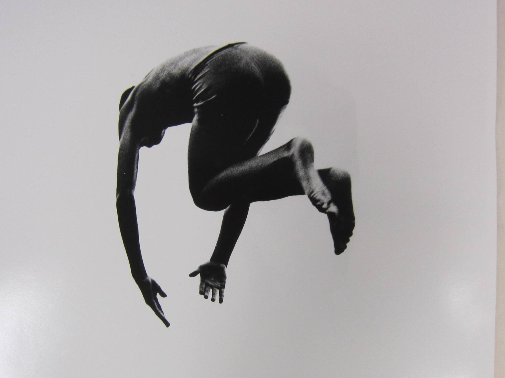 Pleasures and Terrors of Levitation 60