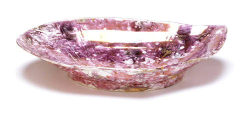 Dish