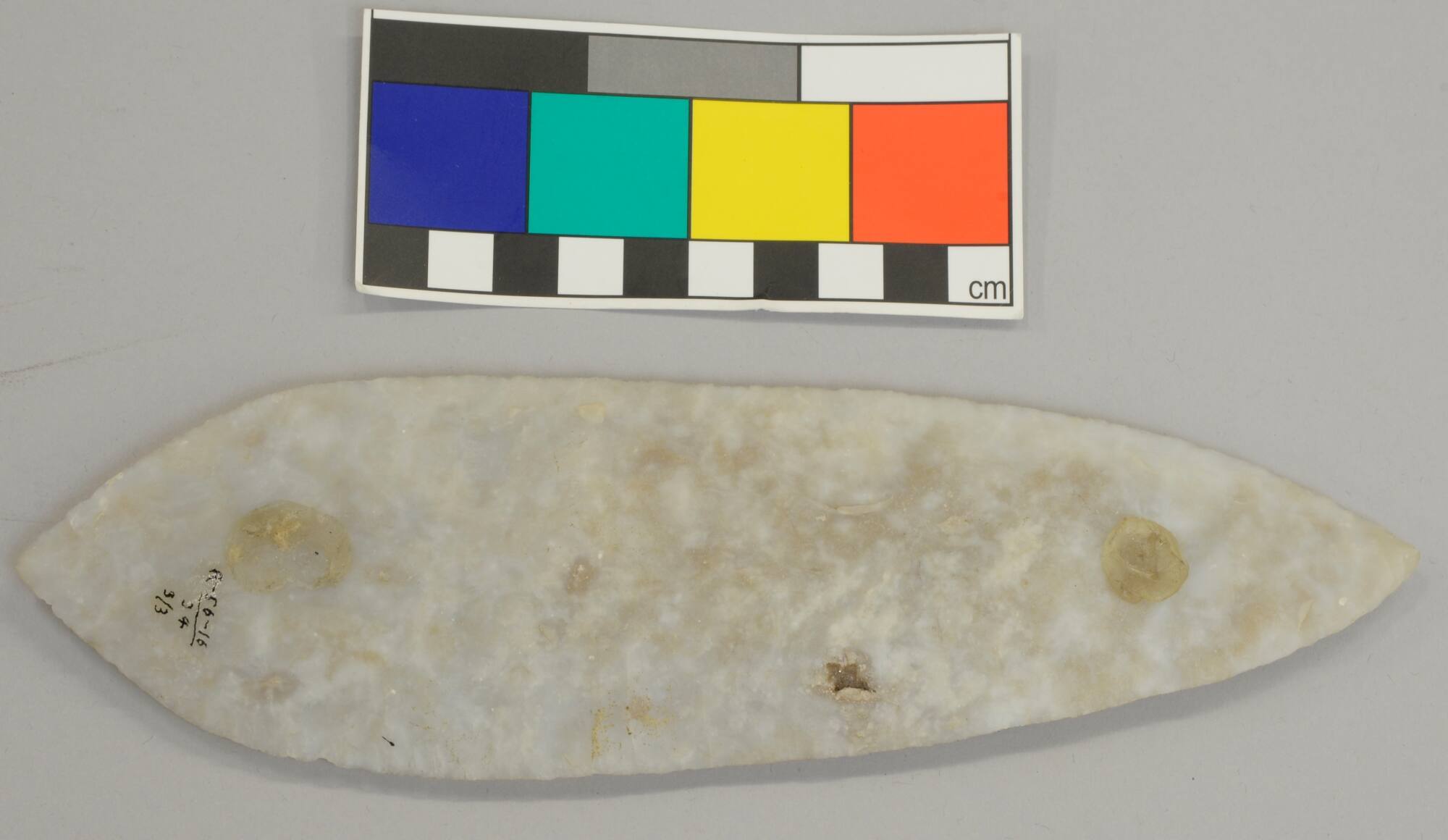 Leaf Blade