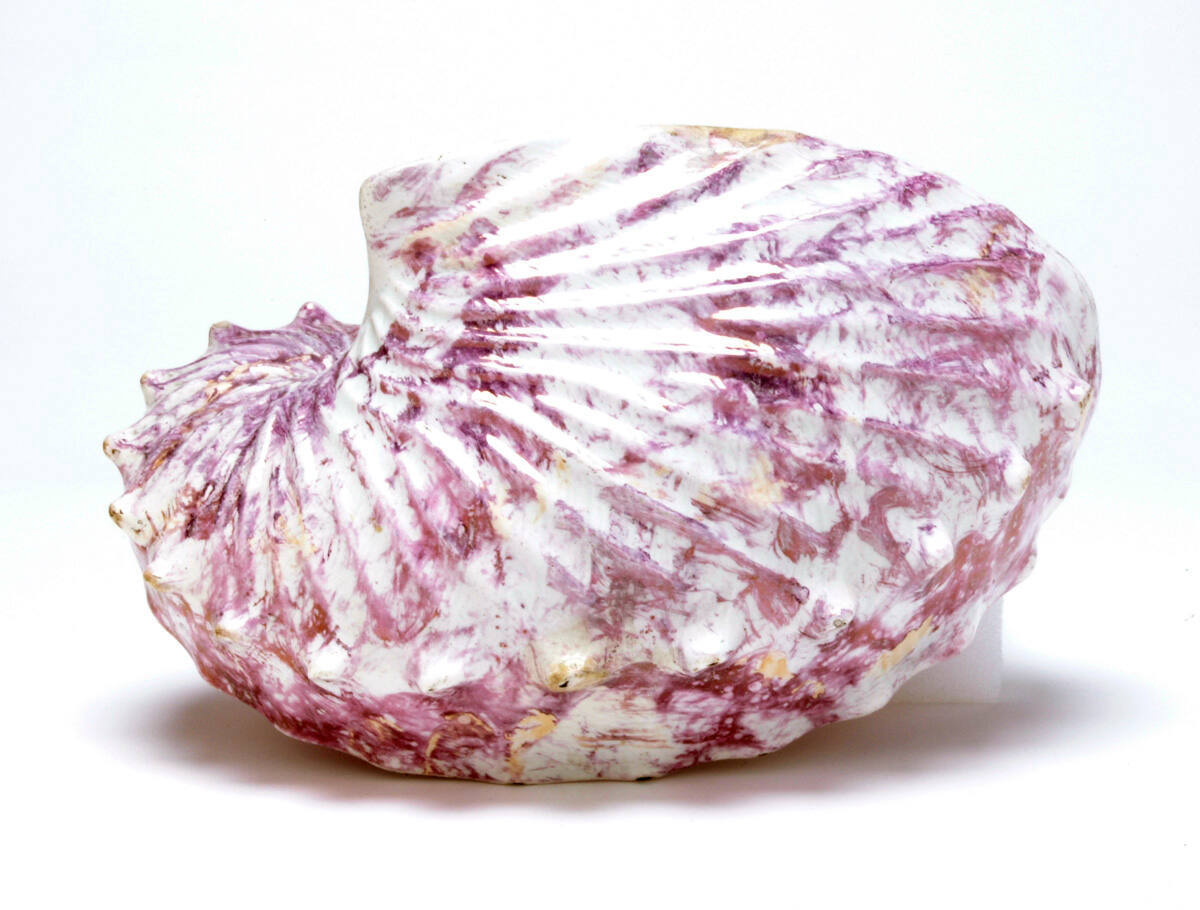 Nautilus Shell Wall Vase