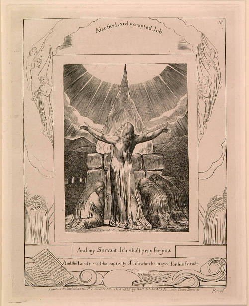 And My Servant, Job, Shall Pray for You Book: Book of Job