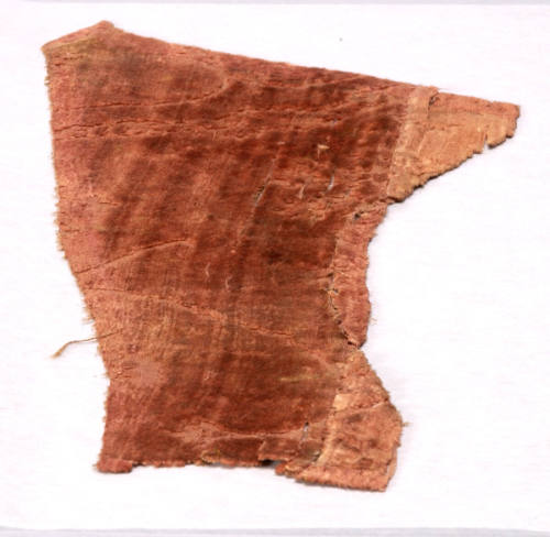 Fragment