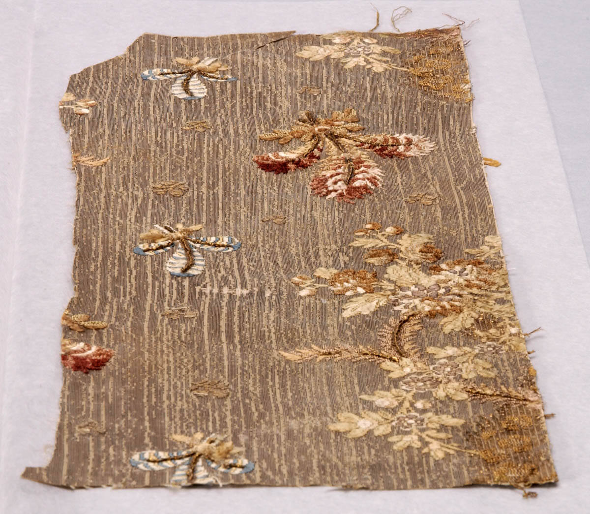 Fragment