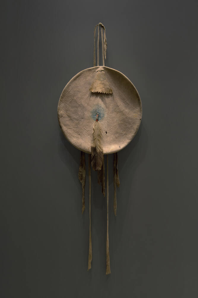 Shield