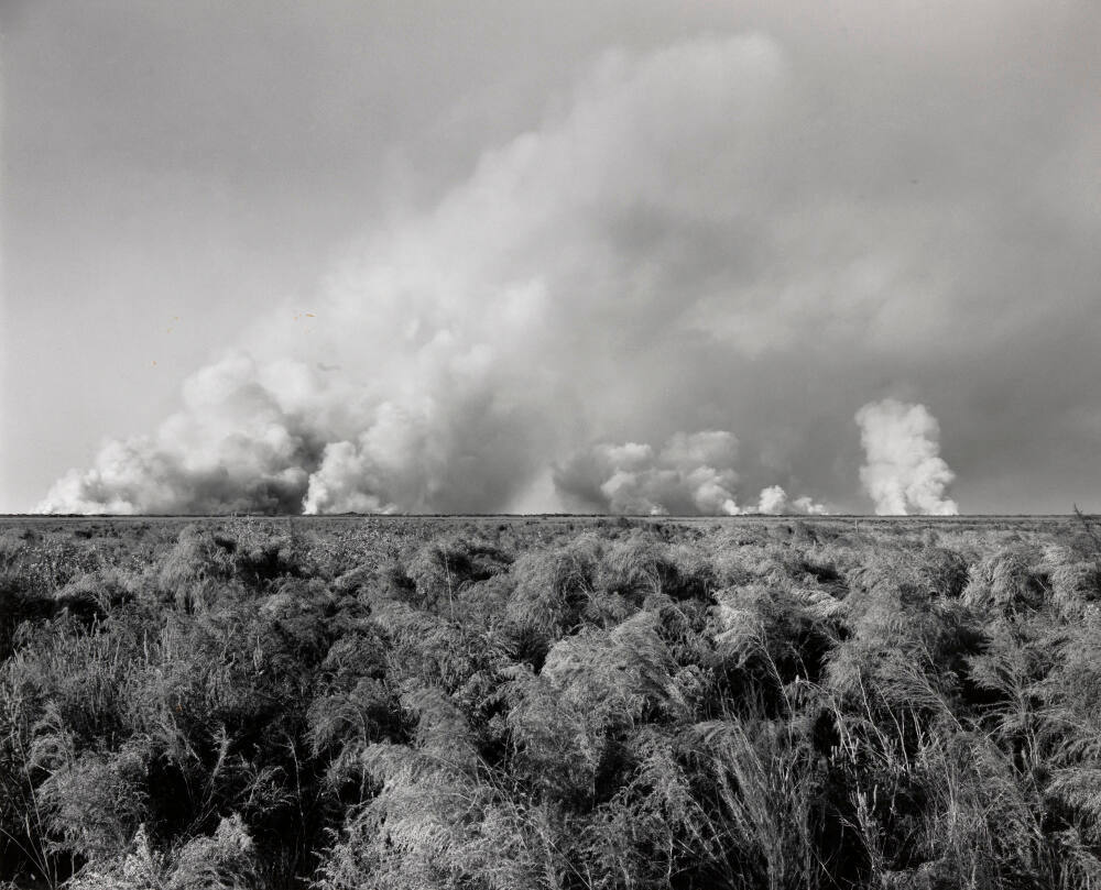 Marsh Fire I, Bolivar Peninsula, near Galveston, Texas