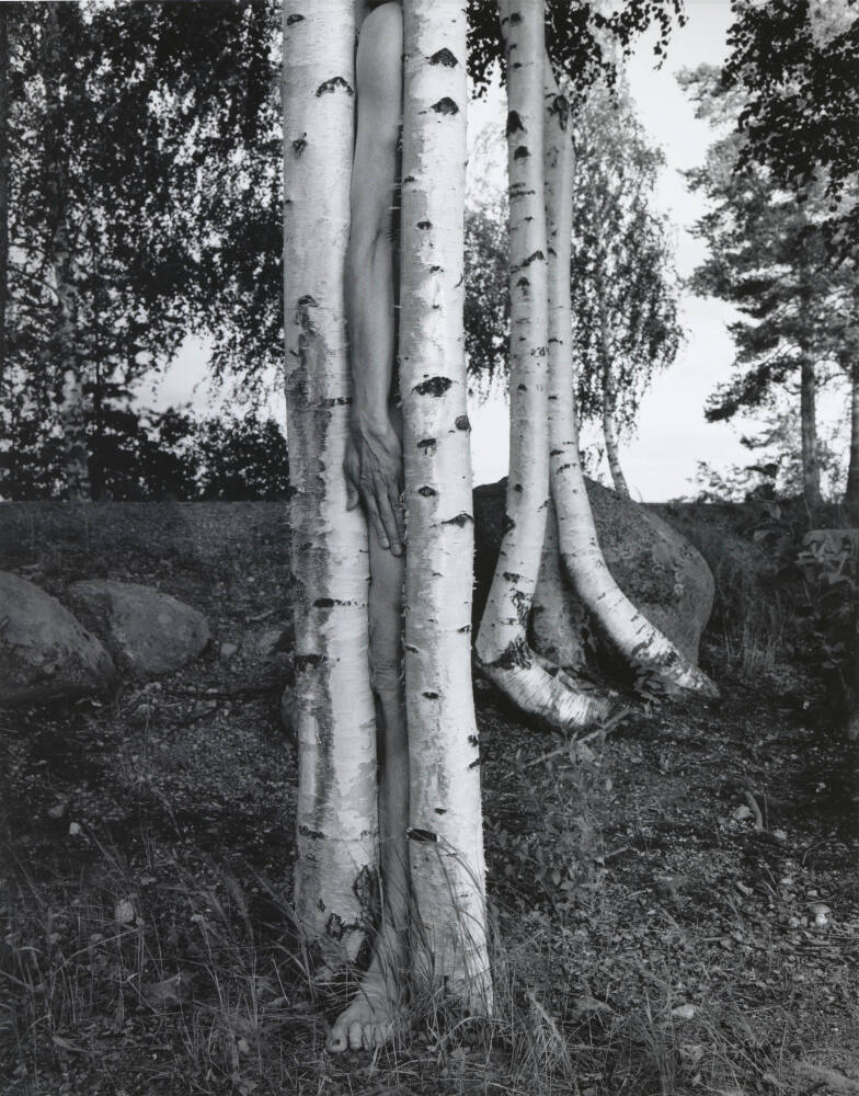 Väisälänsaari, Finland
