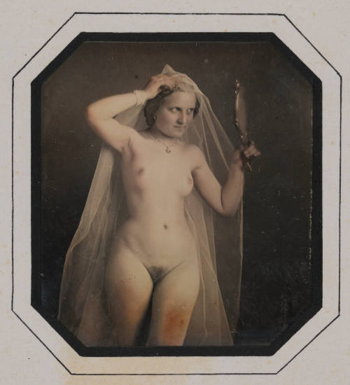 Portrait of nude woman with veil