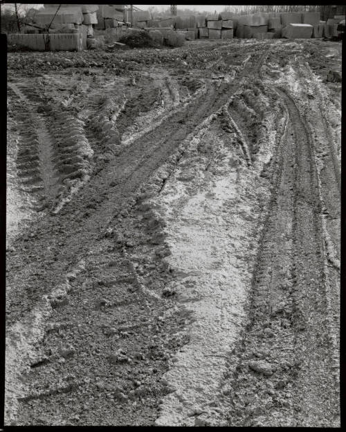 Mud Tracks, Reed Quarry, Bloomington