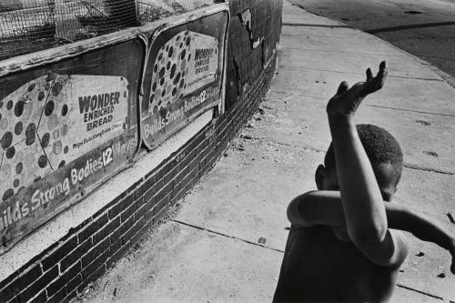 Wonder Bread, Dorchester, Massachusetts