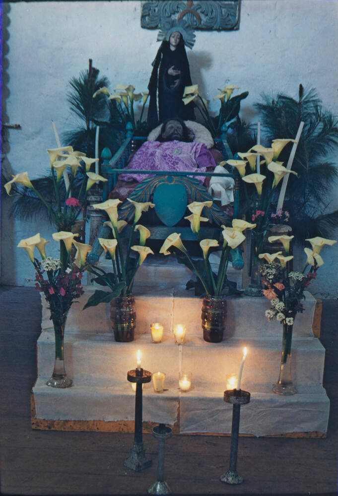 Teojasca